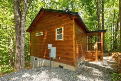 Photo 2 - Bearly Behaving 1 Bedroom Cabin
