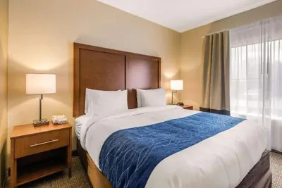 Photo 5 - comfort H inn