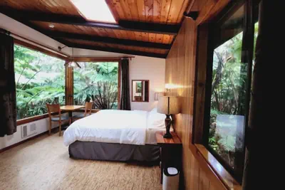 Photo 3 - The Pacifica Inn