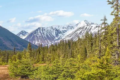 Photo 3 - Quiet A-frame Tucked Off the Road in Girdwood