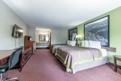 Photo 5 - Eureka Springs indoor pool hotel