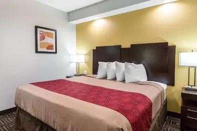 Photo 3 - Scottish Inns and Suites Spring, TX