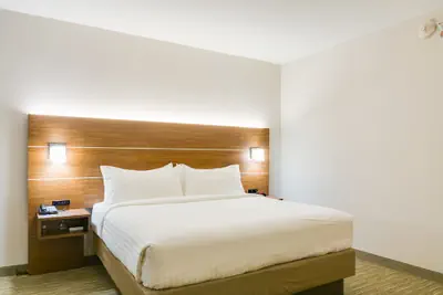 Photo 4 - Holiday Inn Express & Suites Russellville by IHG