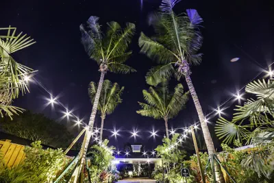 Photo 4 - Siesta Key Palms Resort