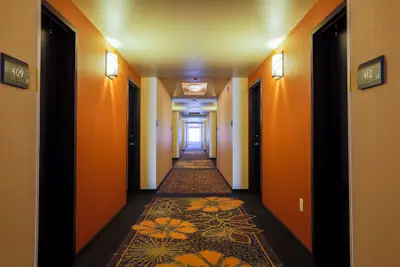 Photo 5 - Hilton Garden Inn Indiana at IUP