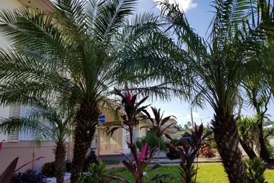 Photo 2 - Parkway Inn Airport Motel Miami