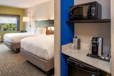 Photo 3 - Holiday Inn Express & Suites Tampa North - Wesley Chapel by IHG