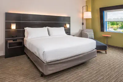 Photo 4 - Holiday Inn Express & Suites Tampa North - Wesley Chapel by IHG