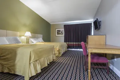 Photo 5 - Super 8 by Wyndham Battleboro/Rocky Mount