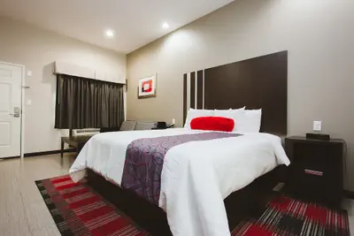 Photo 4 - Americas Best Value Inn and Suites IAH Airport North