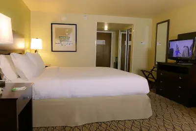 Photo 5 - Holiday Inn Fort Myers - Downtown Area by IHG