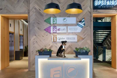 Photo 3 - Aloft by Marriott Austin Downtown