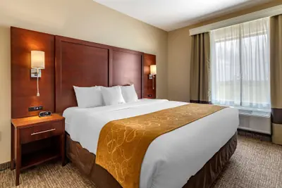 Photo 5 - Comfort Suites Kyle