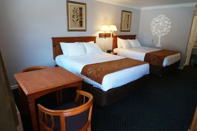 Photo 5 - Journey Inn