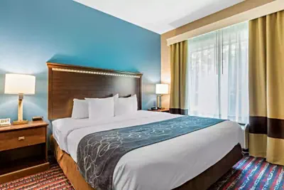 Photo 3 - Comfort Suites Fairview Heights - St. Louis