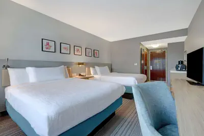 Photo 5 - Hilton Garden Inn Tampa Northwest/Oldsmar