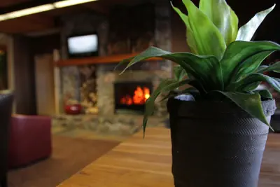 Photo 4 - C'mon Inn Hotel & Suites