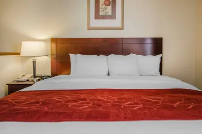 Photo 5 - Quality Suites Jeffersonville - Louisville North