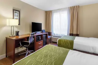 Photo 5 - Comfort Inn St Petersburg North