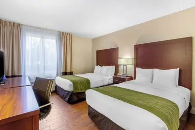 Photo 4 - Comfort Inn St Petersburg North