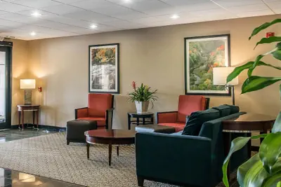 Photo 3 - Comfort Suites Wixom - Novi
