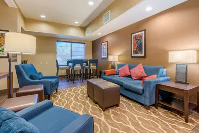 Photo 5 - Comfort Inn & Suites Galt - Lodi North