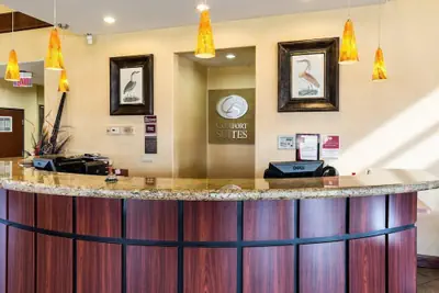 Photo 5 - Comfort Suites near NASA - Clear Lake