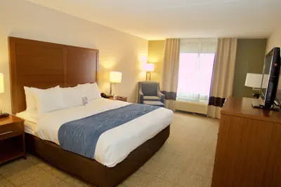 Photo 3 - Comfort Inn Near Quantico Main Gate North