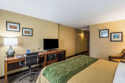 Photo 5 - Comfort Inn & Suites Panama City North
