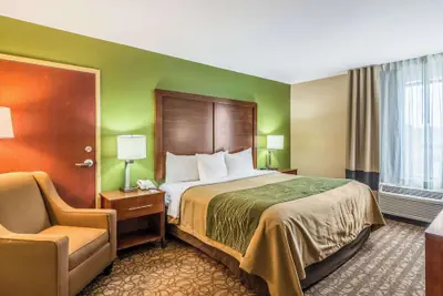 Photo 4 - Comfort Inn & Suites Panama City North