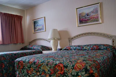Photo 4 - Meadow Court Inn