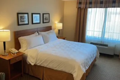 Photo 5 - Holiday Inn Battle Creek by IHG