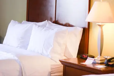 Photo 5 - Holiday Inn Express & Suites Center by IHG