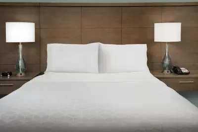 Photo 5 - Staybridge Suites Greenville I-85 Woodruff Road by IHG