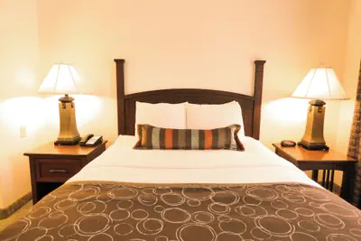Photo 3 - Staybridge Suites Detroit Novi by IHG