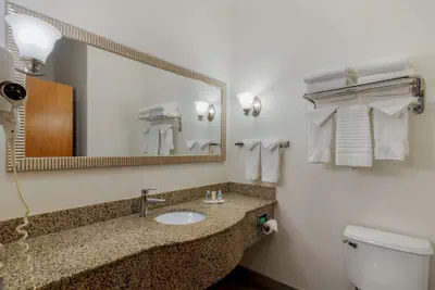 Photo 5 - Comfort Suites Stockbridge Atlanta South