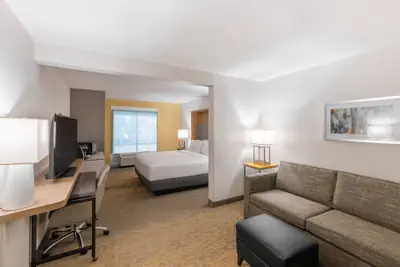 Photo 3 - Holiday Inn Hotel & Suites Orange Park by IHG