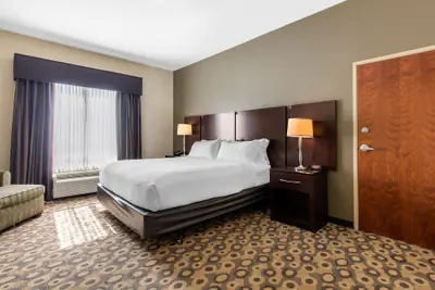 Photo 3 - Holiday Inn Southaven Central - Memphis by IHG