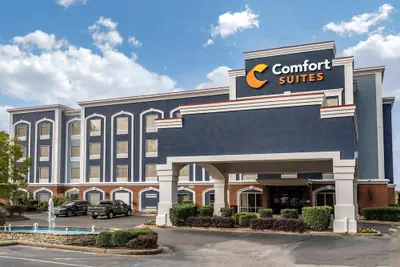 Photo 2 - Comfort Suites Olive Branch - Memphis South