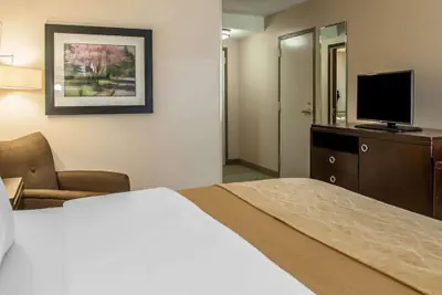 Photo 4 - Comfort Inn Bloomington near University