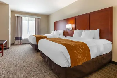 Photo 2 - Comfort Suites Oshkosh West