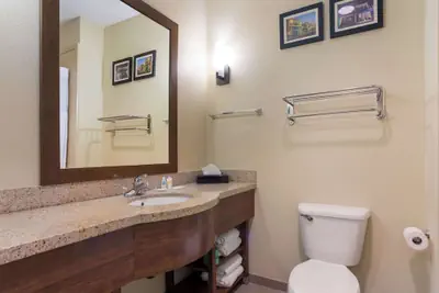 Photo 4 - Comfort Suites Saraland - North Mobile