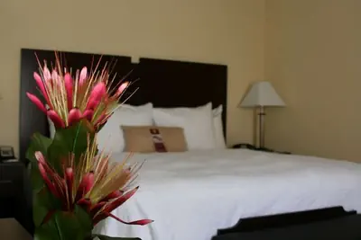 Photo 5 - Hampton Inn & Suites Orlando-John Young Pkwy/S. Park