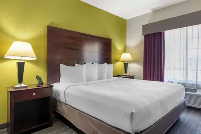 Photo 4 - Best Western Plus Mansfield Inn & Suites