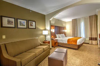 Photo 5 - Comfort Suites Tomball Medical Center