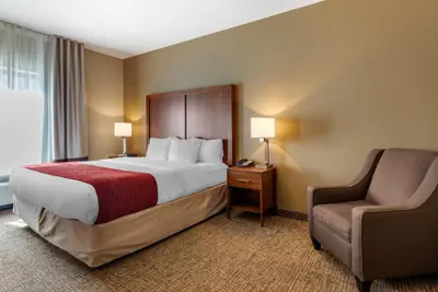 Photo 5 - Comfort Inn & Suites Russellville I-40