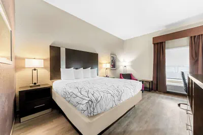 Photo 3 - Best Western Boerne Inn & Suites