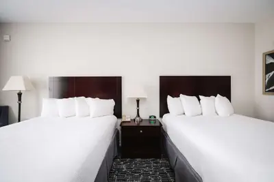 Photo 4 - Best Western Sugarland Inn