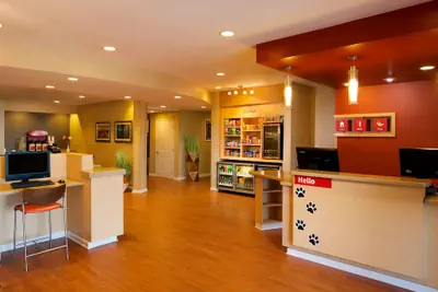 Photo 3 - TownePlace Suites by Marriott Jacksonville