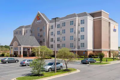 Photo 2 - Comfort Inn & Suites Cordele
